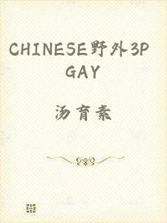 CHINESE野外3P GAY